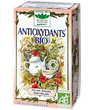 TISANE DETOX LEGUMES BIO 20 SACHETS ROMON NATURE