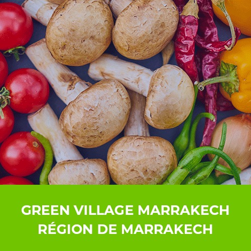 Jardin Bio Infusion Bien-Être du Foie 28G – Green Village Maroc