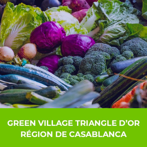Celnat Farine d'Orge Mondé 500G – Green Village Maroc