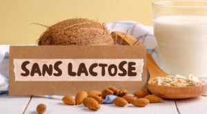 Sans Lactose