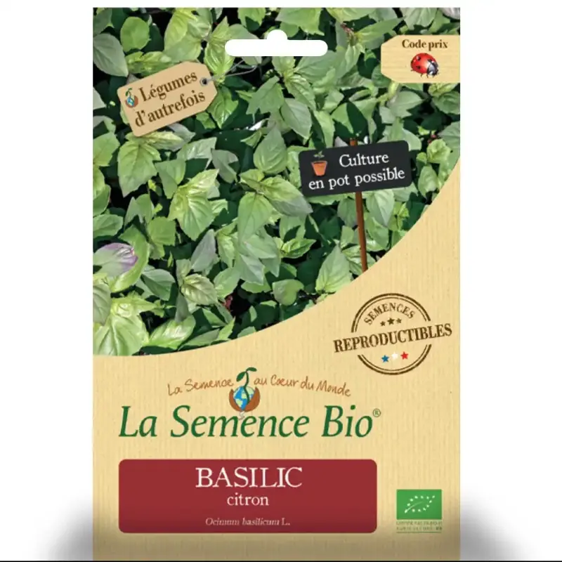 Graines potagères radis National Bio en sachet La Semence Bio