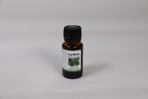 Genna Huile Essentielle Eucalyptus Globulus 10Ml