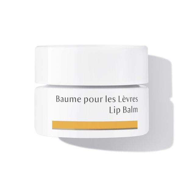 Dr Hauschka Baume pour les Lèvres 4,5Ml