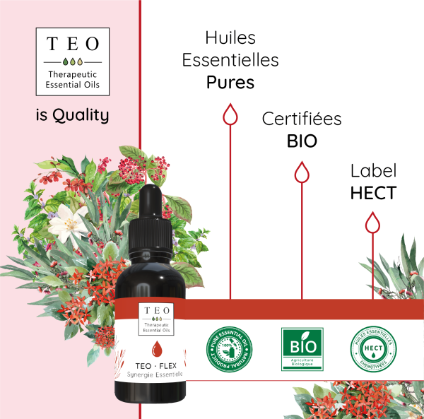 TEO-FLEX® 10Ml – Image 4