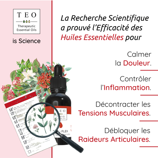 TEO-FLEX® 10Ml – Image 3