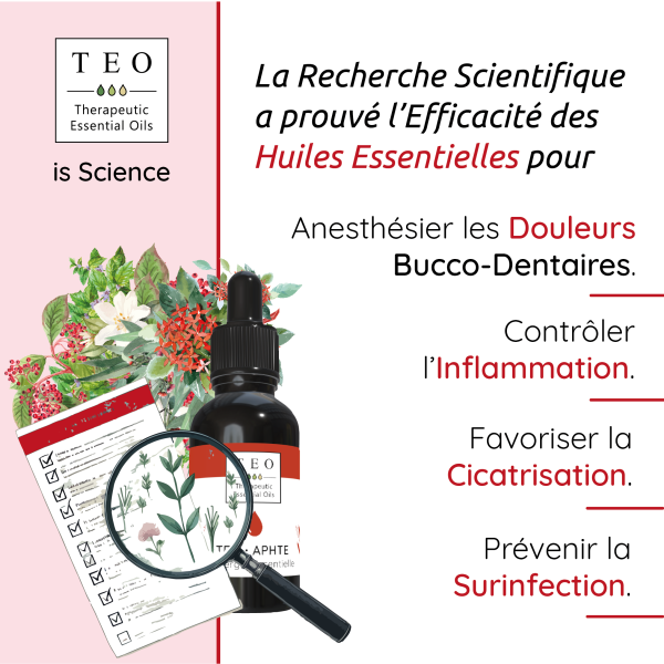 TEO-APHTE® 10Ml – Image 3