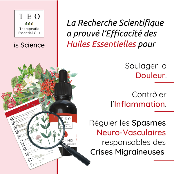 TEO-MIG® 10Ml – Image 2