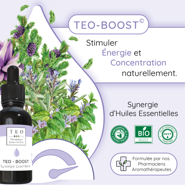 TEO-BOOST® 10Ml – Image 3