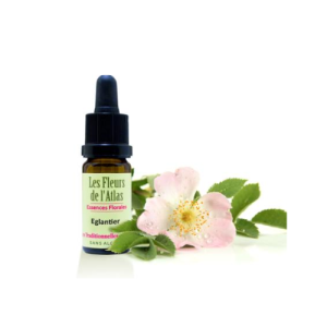 Fleurs De L'atlas Églantier 10ML