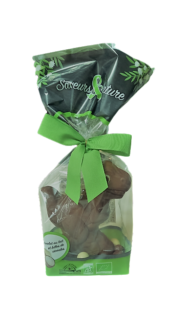 Saveurs et Nature Dinosaure Chocolat au Lait et Billes de Céréales Enrobées de Chocolat au Lait 100G