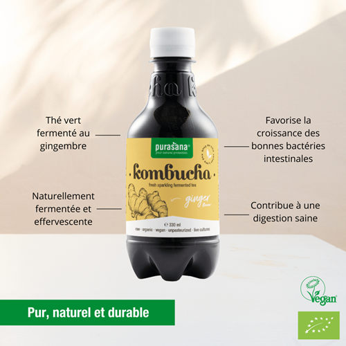 Purasana Kombucha Gingembre Frais 330Ml – Image 2