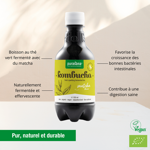 Purasana Kombucha Matcha 330Ml – Image 2