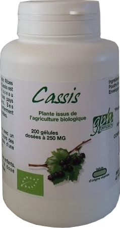 Gph Diffusion Cassis Bio 200 Gélules