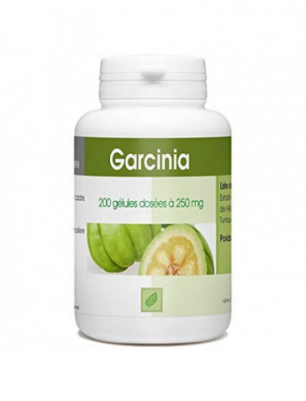 Gph Diffusion Garnicia 100 Gélules
