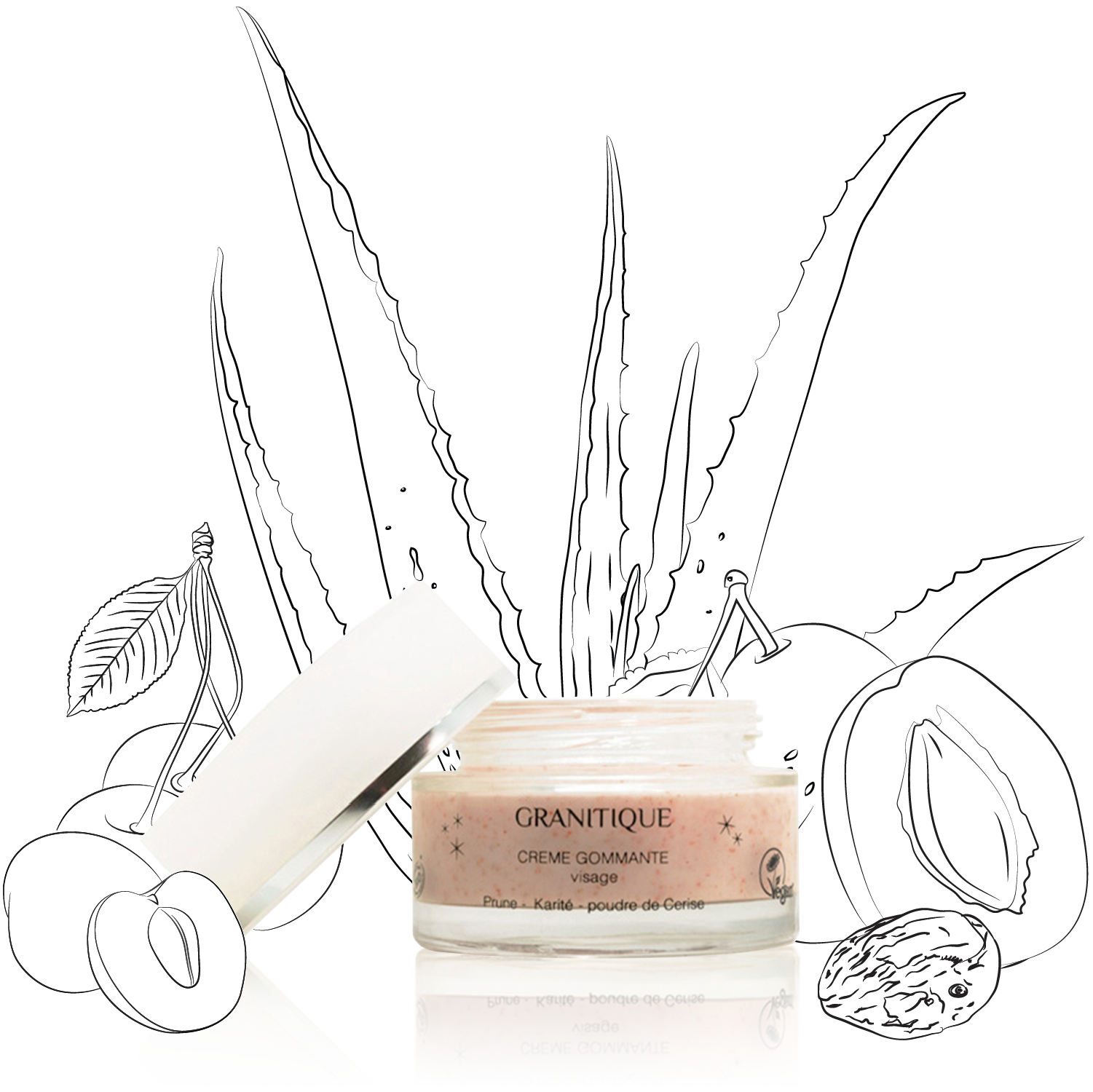 Fées en Provence Granitique – Crème Gommante Douceur pour Visage – 50Ml