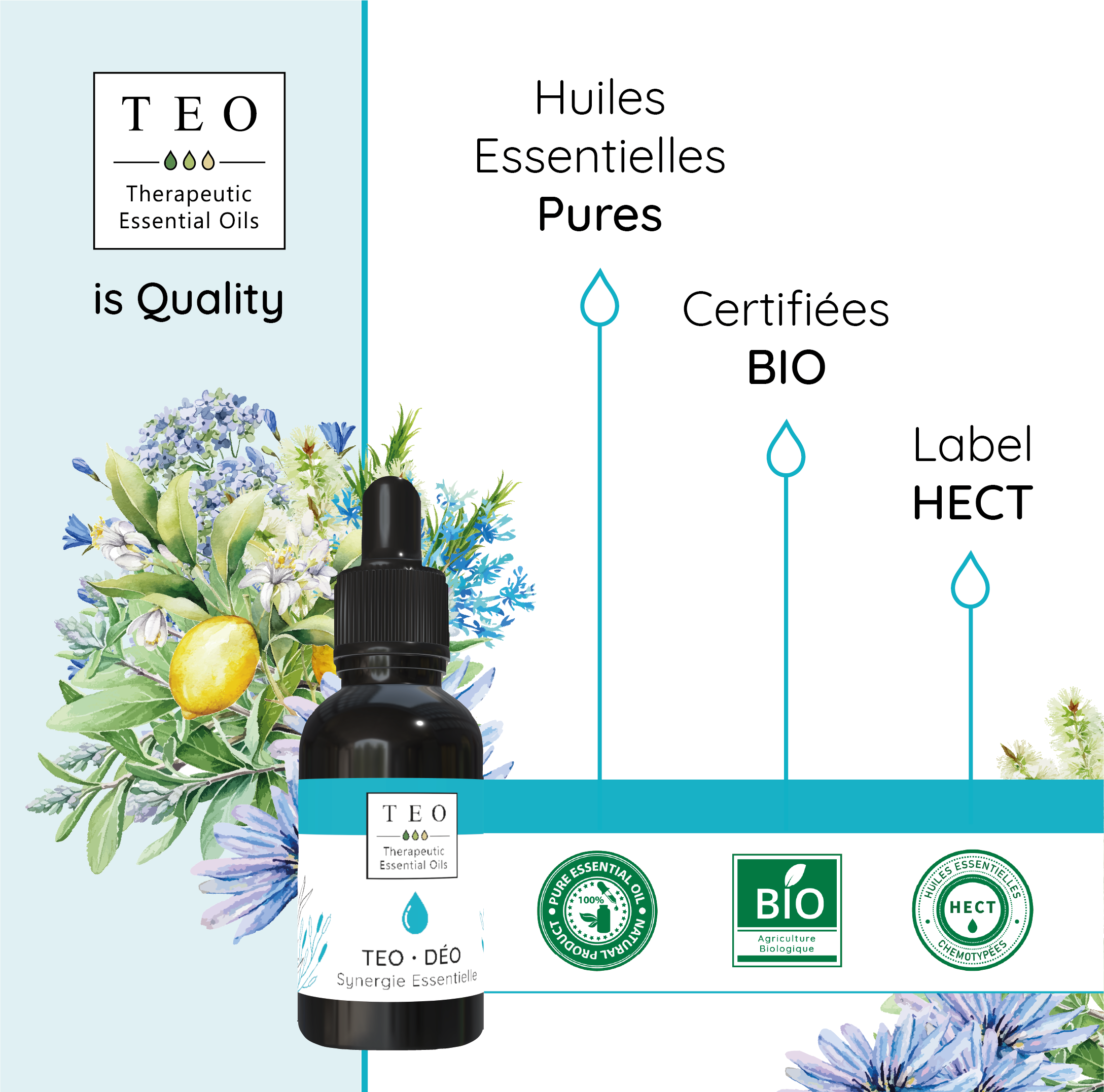 TEO-DÉO® 10Ml – Image 4