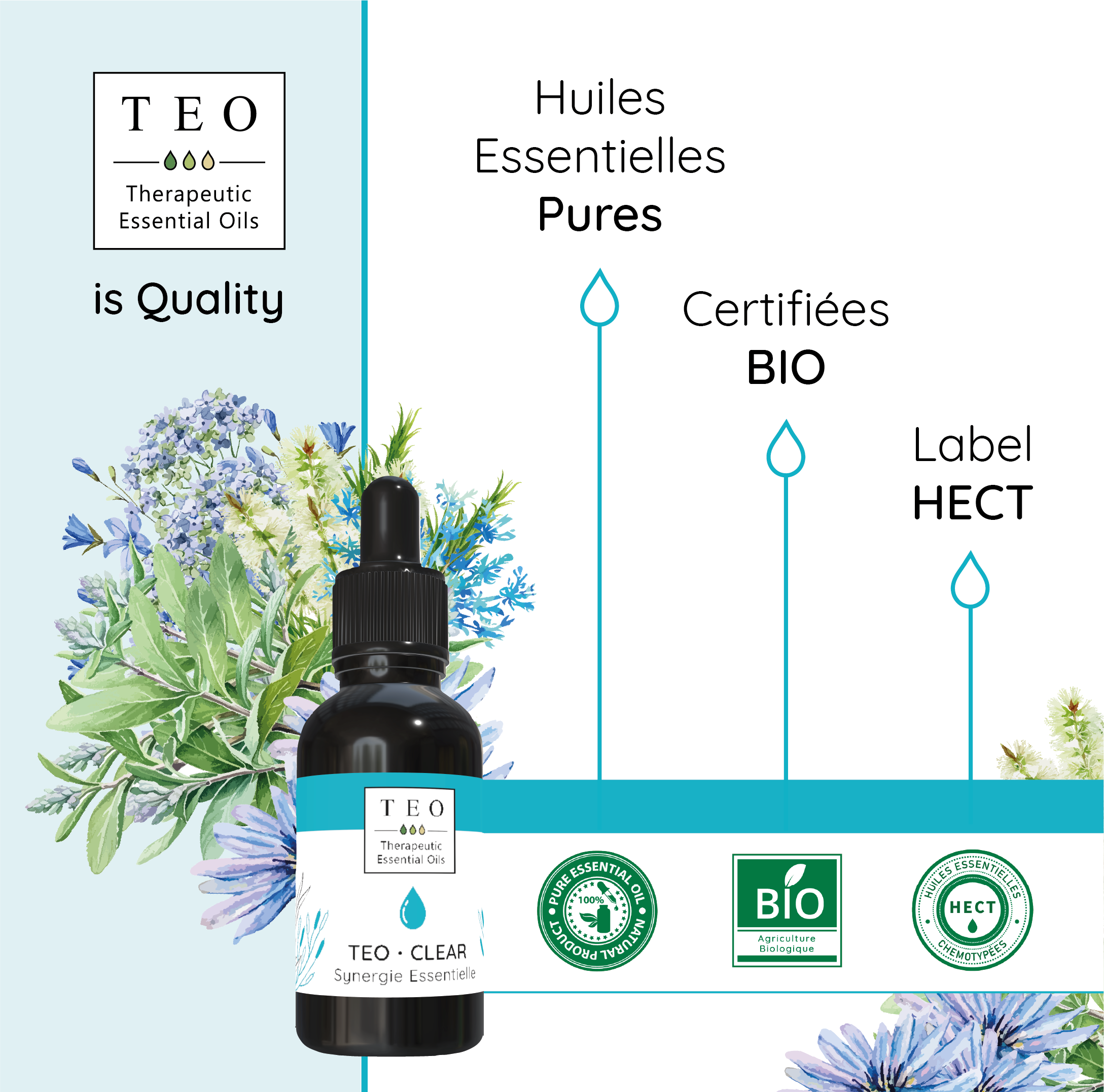 TEO-CLEAR® 10Ml – Image 4