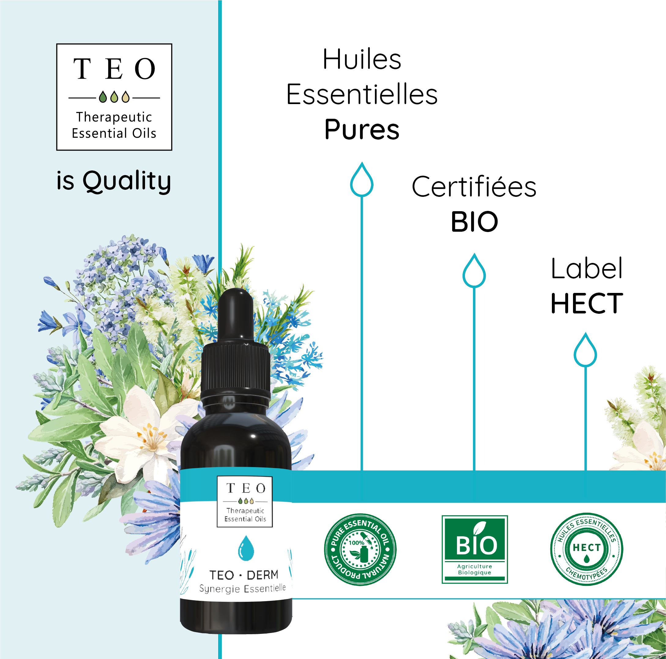 TEO-DERM® 10Ml – Image 4