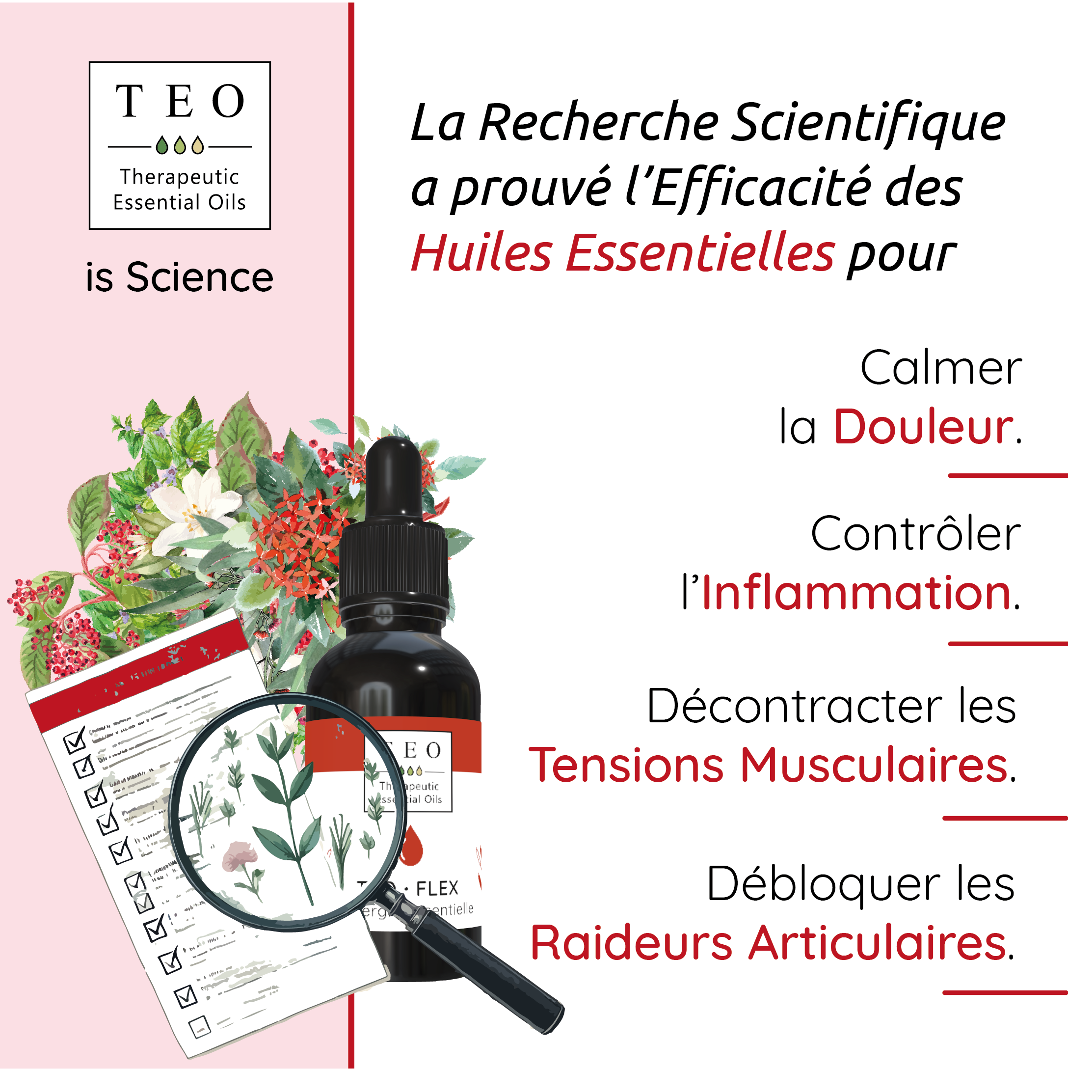 TEO-FLEX® 10Ml – Image 3