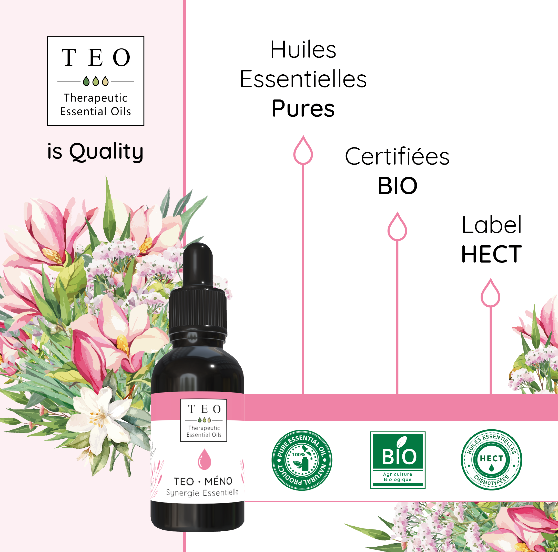 TEO-MÉNO® 10Ml – Image 4
