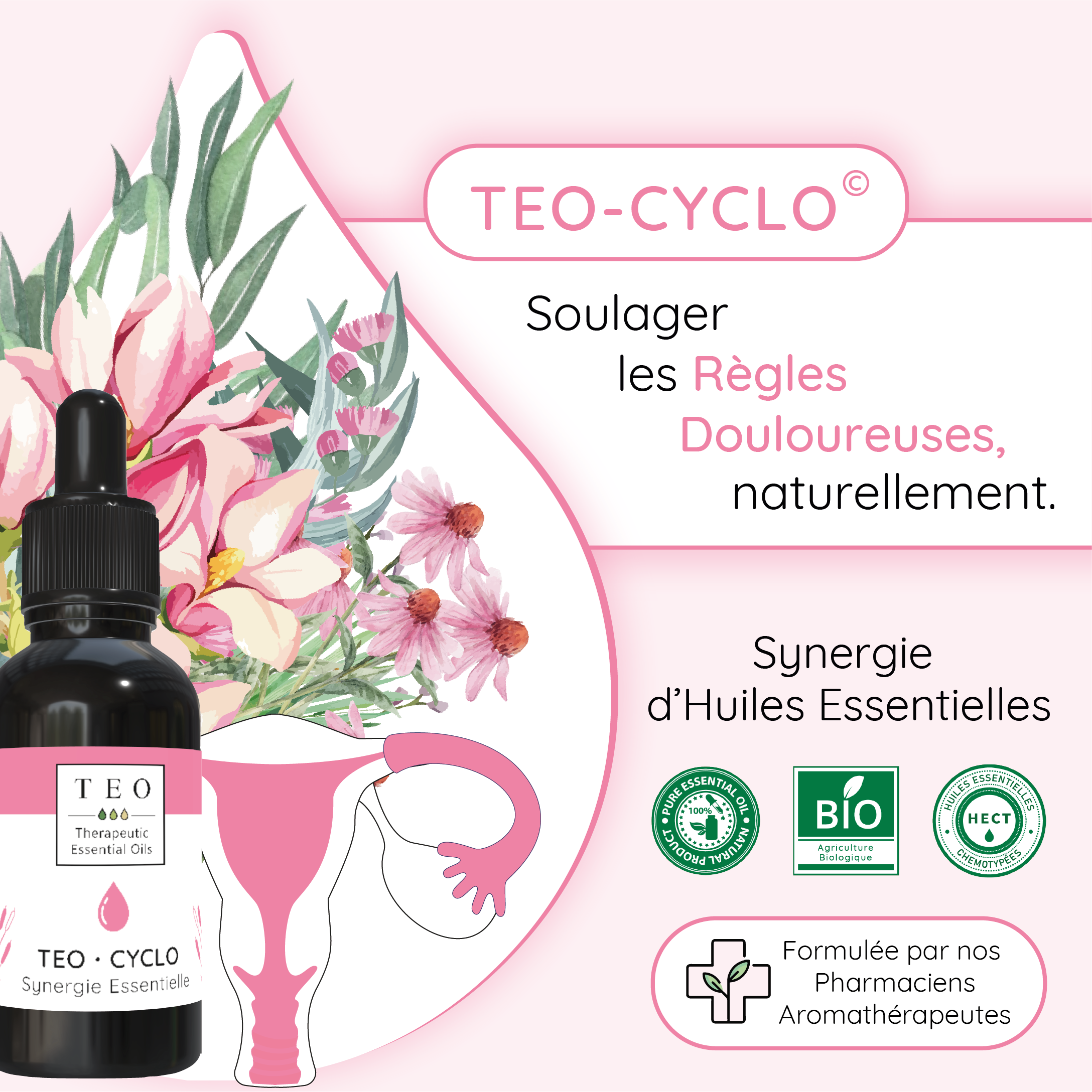 TEO-CYCLO® 10Ml – Image 2