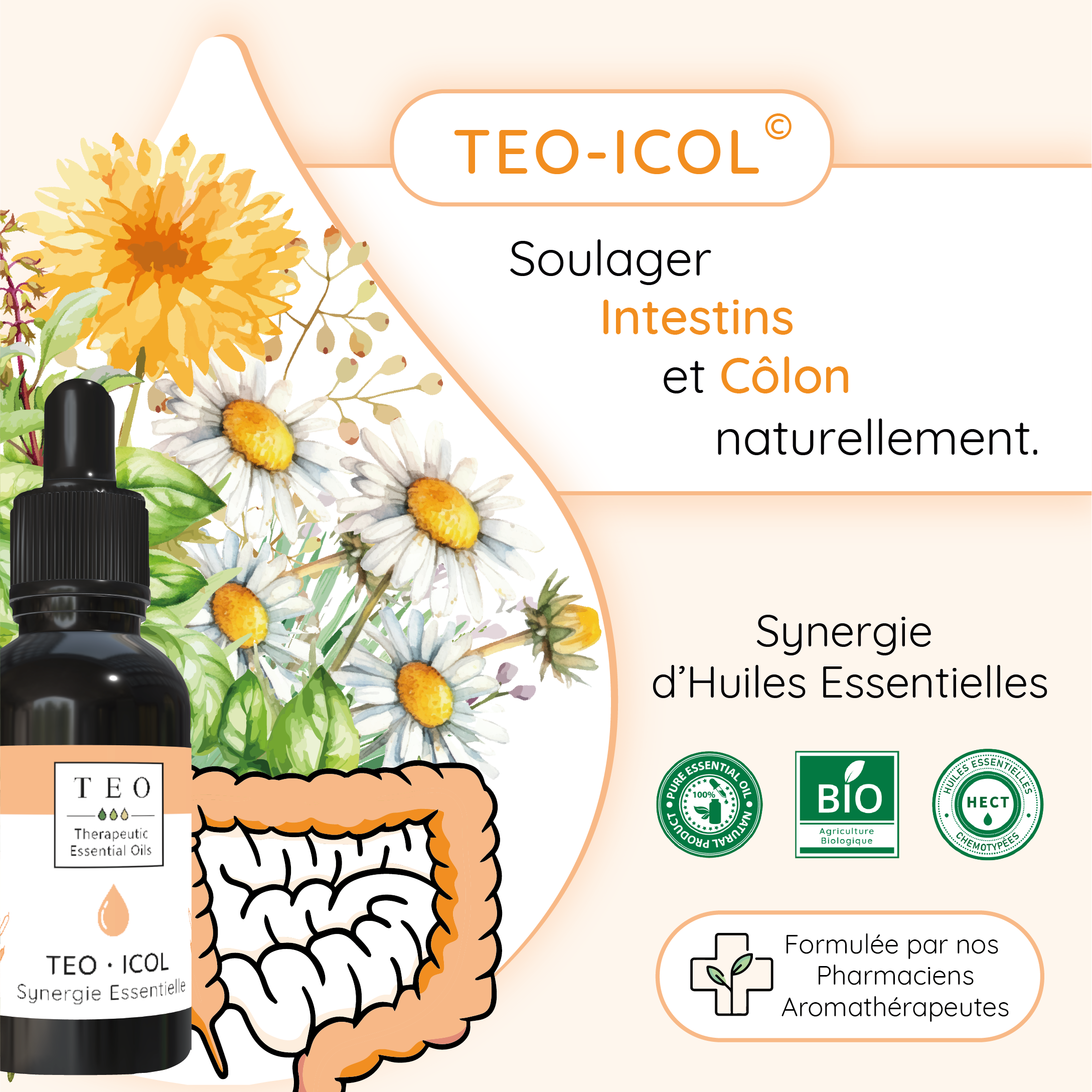TEO-ICOL® 10Ml – Image 2