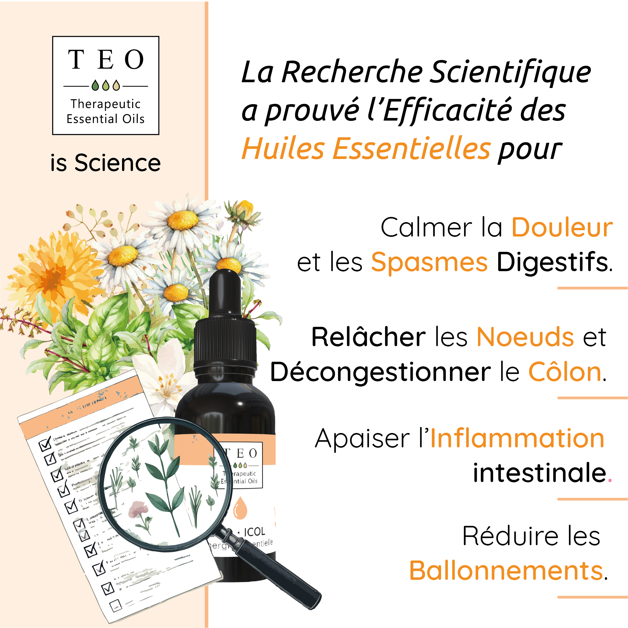 TEO-ICOL® 10Ml – Image 3