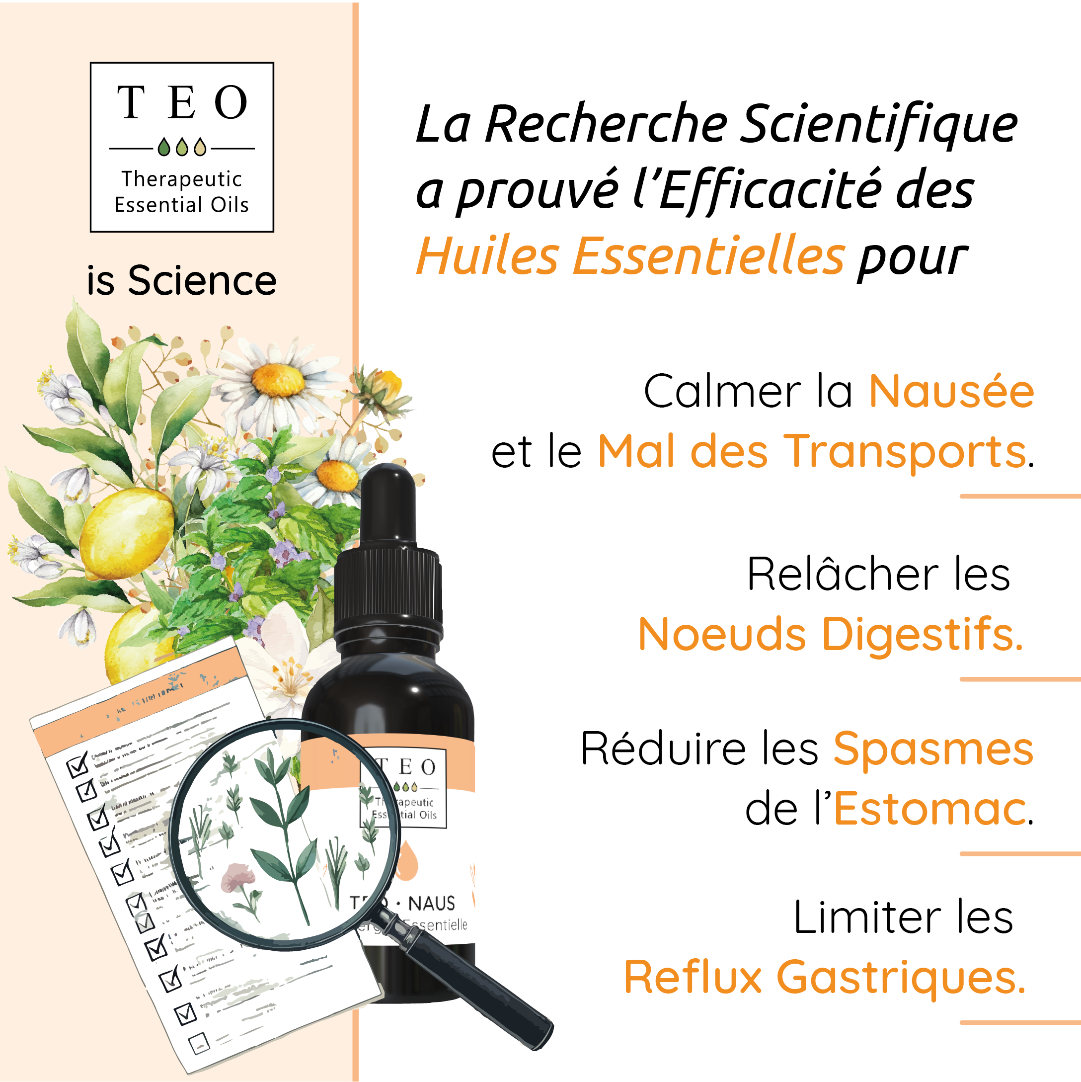 TEO-NAUS® 10Ml – Image 3