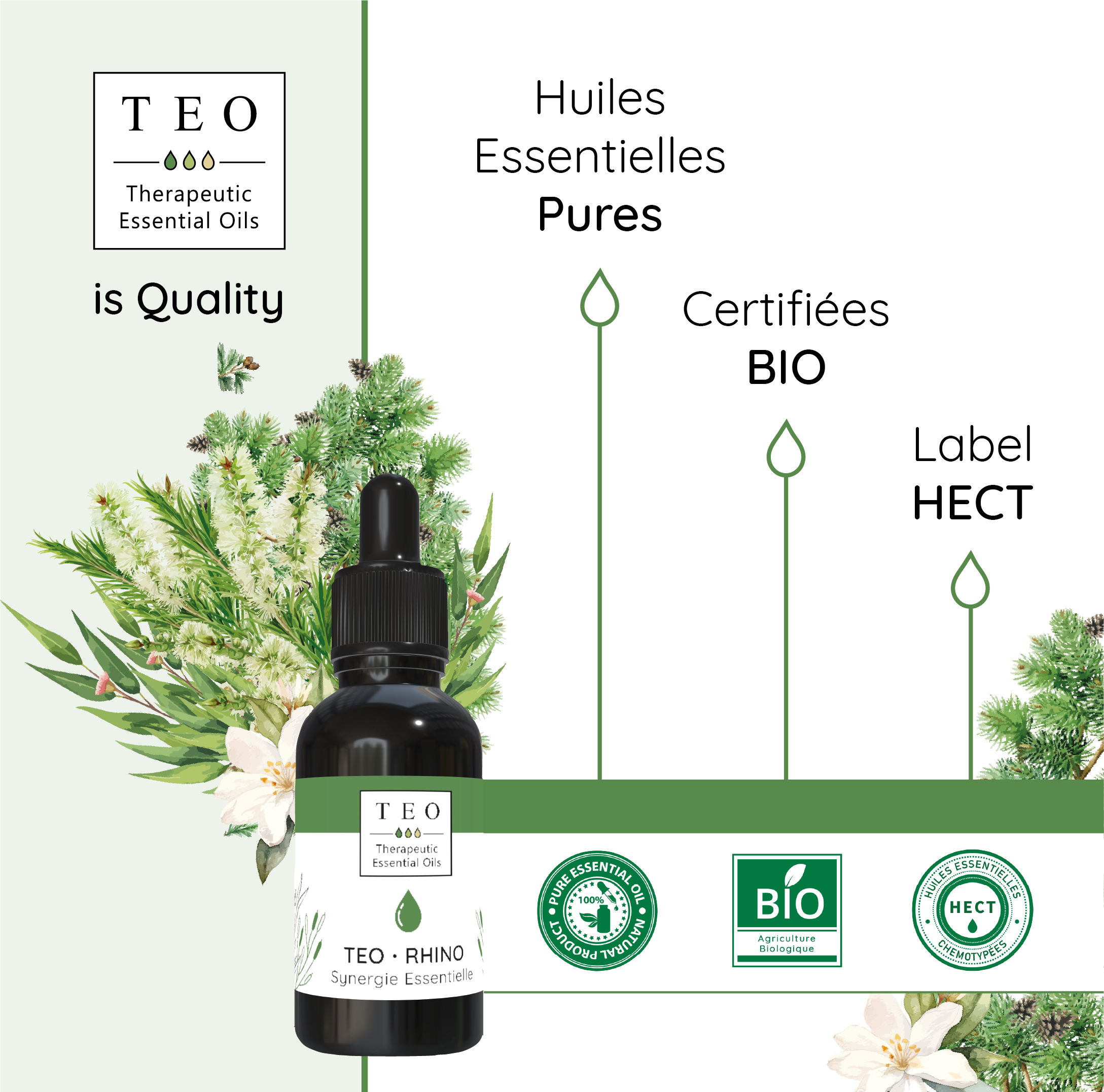 TEO-RHINO® 10Ml – Image 4