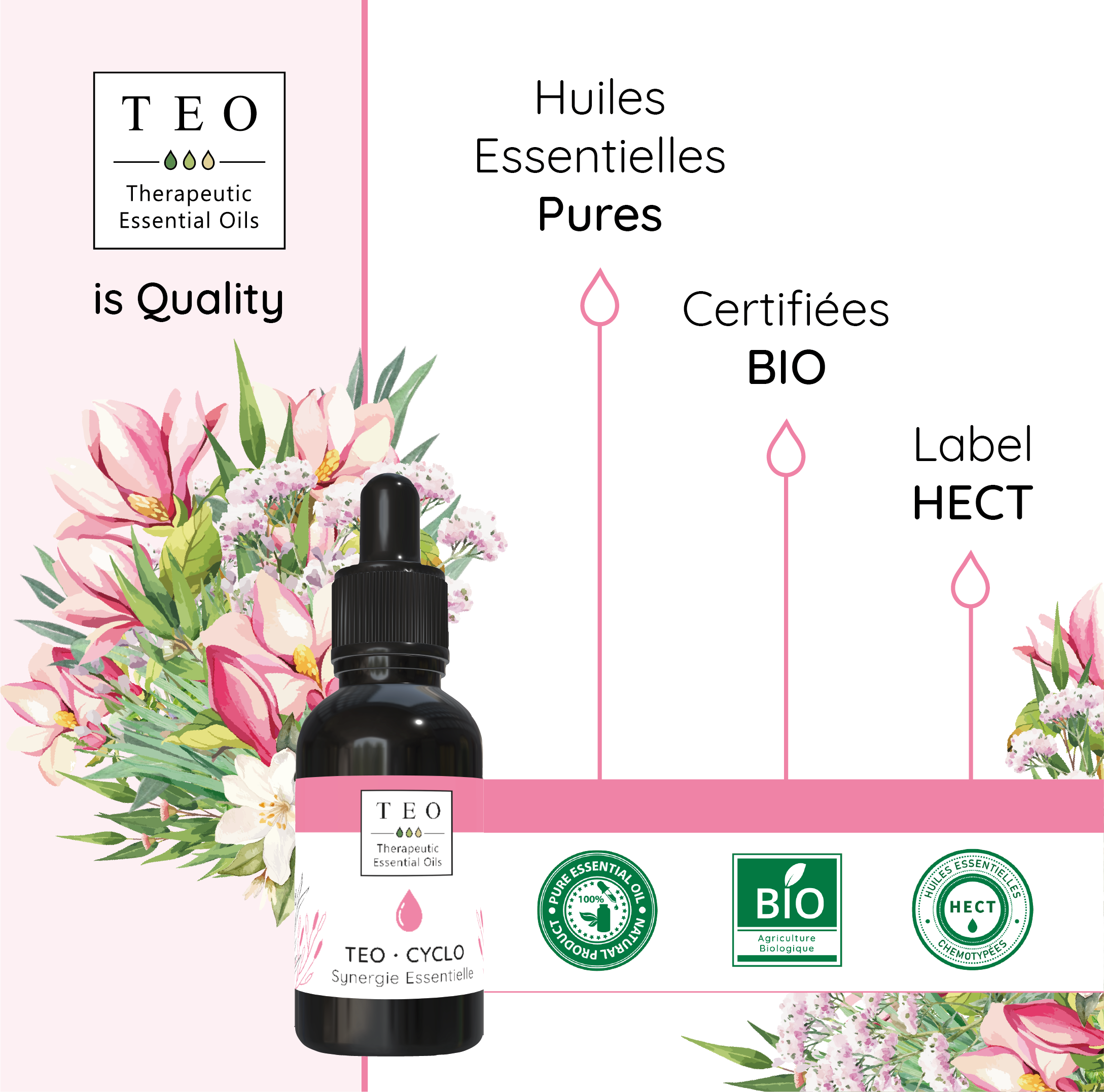 TEO-CYCLO® 10Ml – Image 4