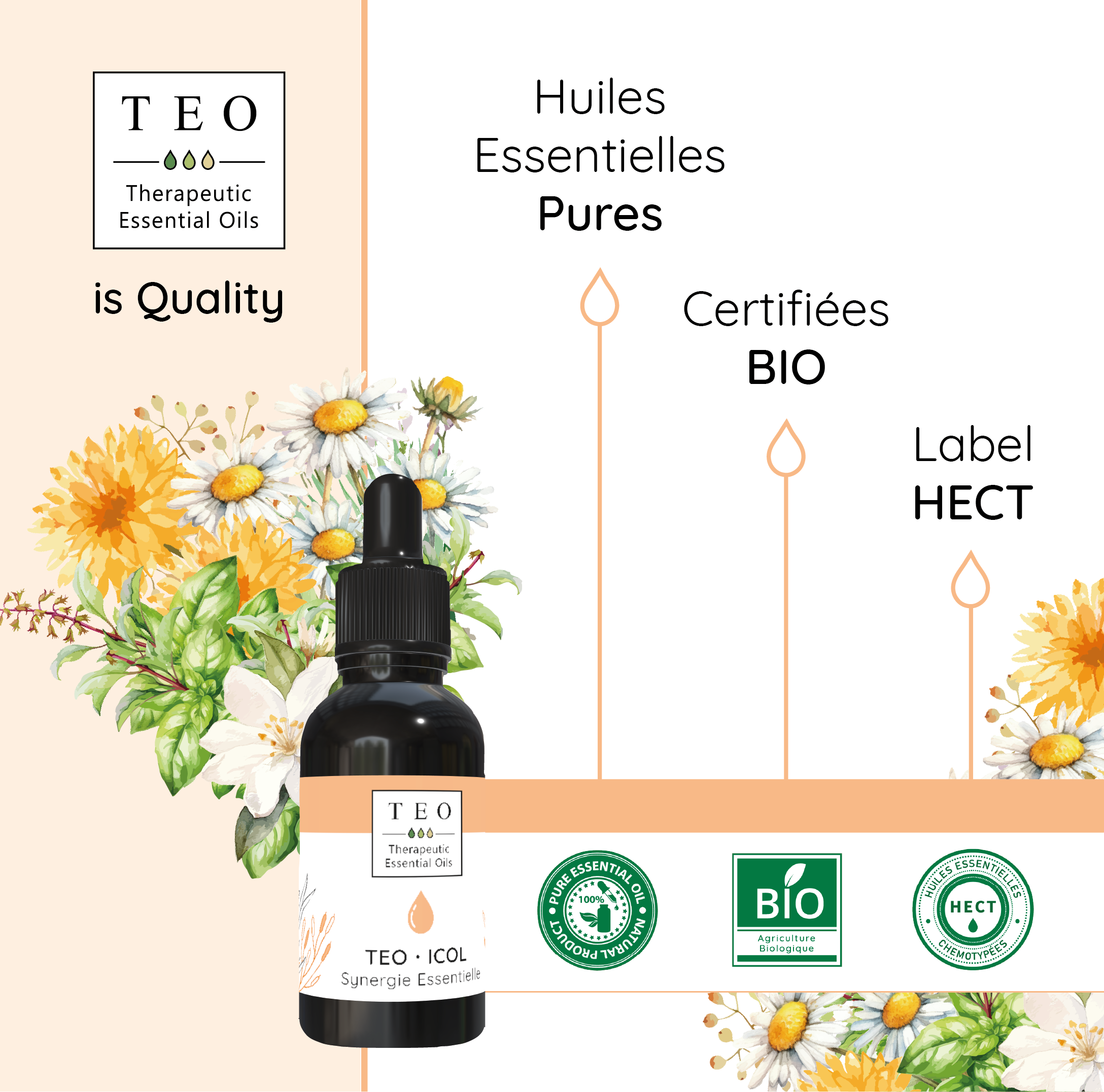 TEO-ICOL® 10Ml – Image 4