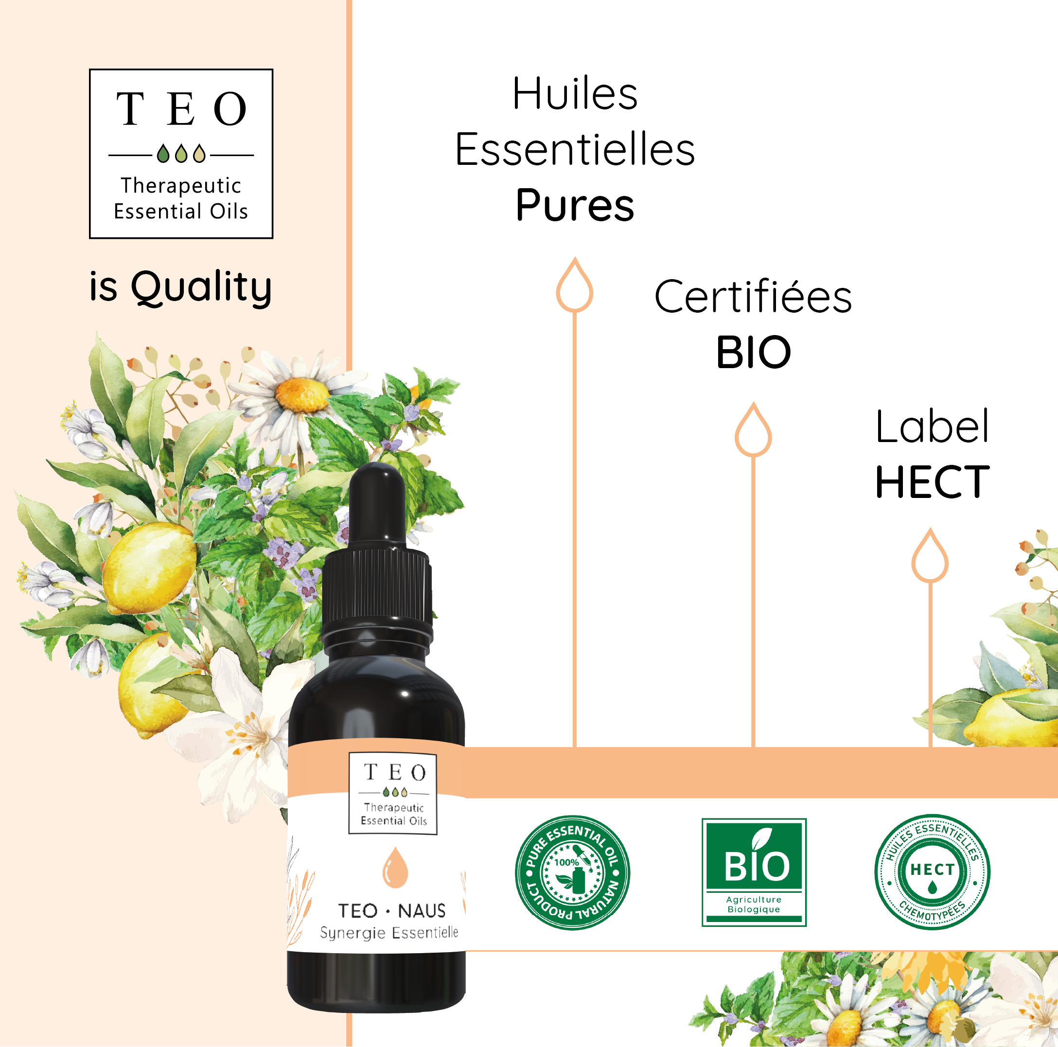 TEO-NAUS® 10Ml – Image 4