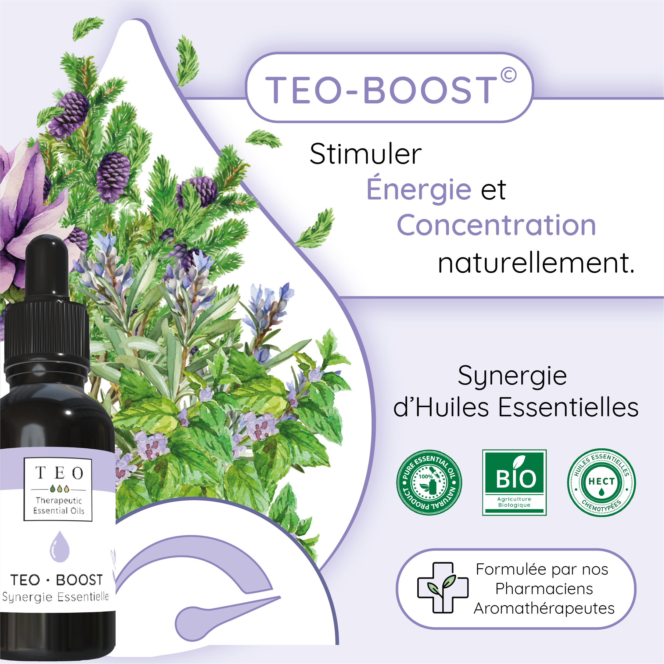 TEO-BOOST® 10Ml – Image 3